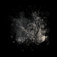 2026-DesignsbyForteMasked800x800-014