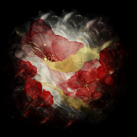 2026-DesignsbyForteMasked800x800-045