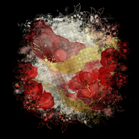 2026-DesignsbyForteMasked800x800-046