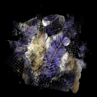 2026-DesignsbyForteMasked800x800-098