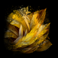 2026-DesignsbyForteMasked800x800-106