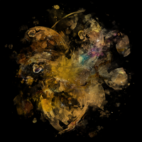2026-DesignsbyForteMasked800x800-1137