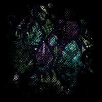 2026-DesignsbyForteMasked800x800-1195