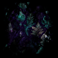 2026-DesignsbyForteMasked800x800-1196 2026-DesignsbyForteMasked800x800-1196