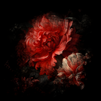 2026-DesignsbyForteMasked800x800-1252 2026-DesignsbyForteMasked800x800-1252