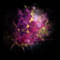2026-DesignsbyForteMasked800x800-1268