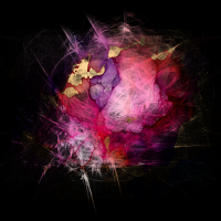 2026-DesignsbyForteMasked800x800-1270