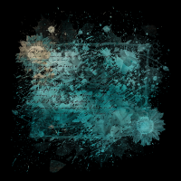 2026-DesignsbyForteMasked800x800-1330