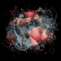 2026-DesignsbyForteMasked800x800-1373
