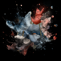 2026-DesignsbyForteMasked800x800-1389