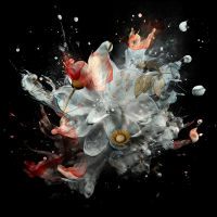 2026-DesignsbyForteMasked800x800-1391 2026-DesignsbyForteMasked800x800-1391