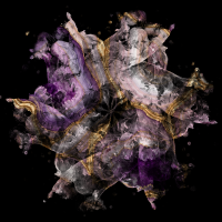 2026-DesignsbyForteMasked800x800-1446