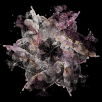 2026-DesignsbyForteMasked800x800-1448