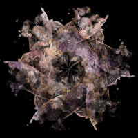 2026-DesignsbyForteMasked800x800-1450