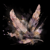 2026-DesignsbyForteMasked800x800-1461