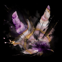 2026-DesignsbyForteMasked800x800-1462