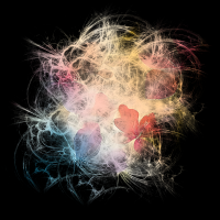 2026-DesignsbyForteMasked800x800-186