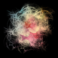 2026-DesignsbyForteMasked800x800-187