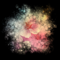 2026-DesignsbyForteMasked800x800-197