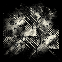 2026-DesignsbyForteMasked800x800-233
