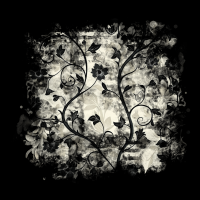 2026-DesignsbyForteMasked800x800-218