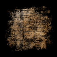 2026-DesignsbyForteMasked800x800-249