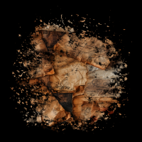 2026-DesignsbyForteMasked800x800-260