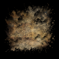 2026-DesignsbyForteMasked800x800-269 2026-DesignsbyForteMasked800x800-269