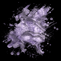 2026-DesignsbyForteMasked800x800-319