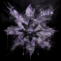 2026-DesignsbyForteMasked800x800-339