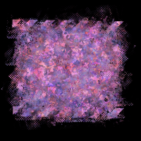 2026-DesignsbyForteMasked800x800-363