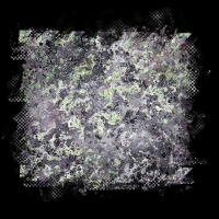 2026-DesignsbyForteMasked800x800-365