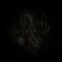 2026-DesignsbyForteMasked800x800-426