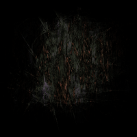 2026-DesignsbyForteMasked800x800-436