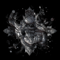 2026-DesignsbyForteMasked800x800-595