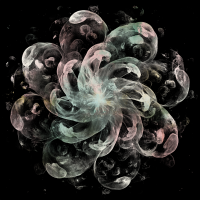 2026-DesignsbyForteMasked800x800-607