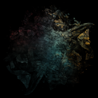 2026-DesignsbyForteMasked800x800-640