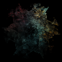 2026-DesignsbyForteMasked800x800-643