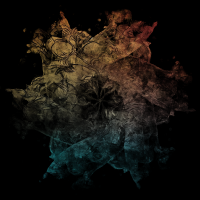 2026-DesignsbyForteMasked800x800-645 2026-DesignsbyForteMasked800x800-645