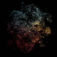 2026-DesignsbyForteMasked800x800-649