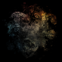 2026-DesignsbyForteMasked800x800-651