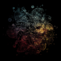 2026-DesignsbyForteMasked800x800-654