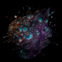 2026-DesignsbyForteMasked800x800-715