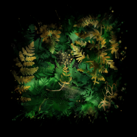 2026-DesignsbyForteMasked800x800-739