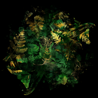 2026-DesignsbyForteMasked800x800-749