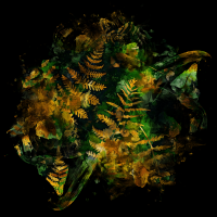 2026-DesignsbyForteMasked800x800-751