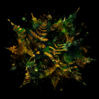 2026-DesignsbyForteMasked800x800-752