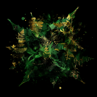 2026-DesignsbyForteMasked800x800-754