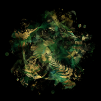 2026-DesignsbyForteMasked800x800-739