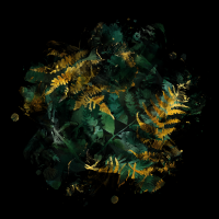 2026-DesignsbyForteMasked800x800-760